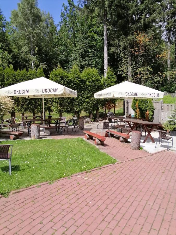 Bed and Breakfast Pasja Сверадув-Здруй Экстерьер фото