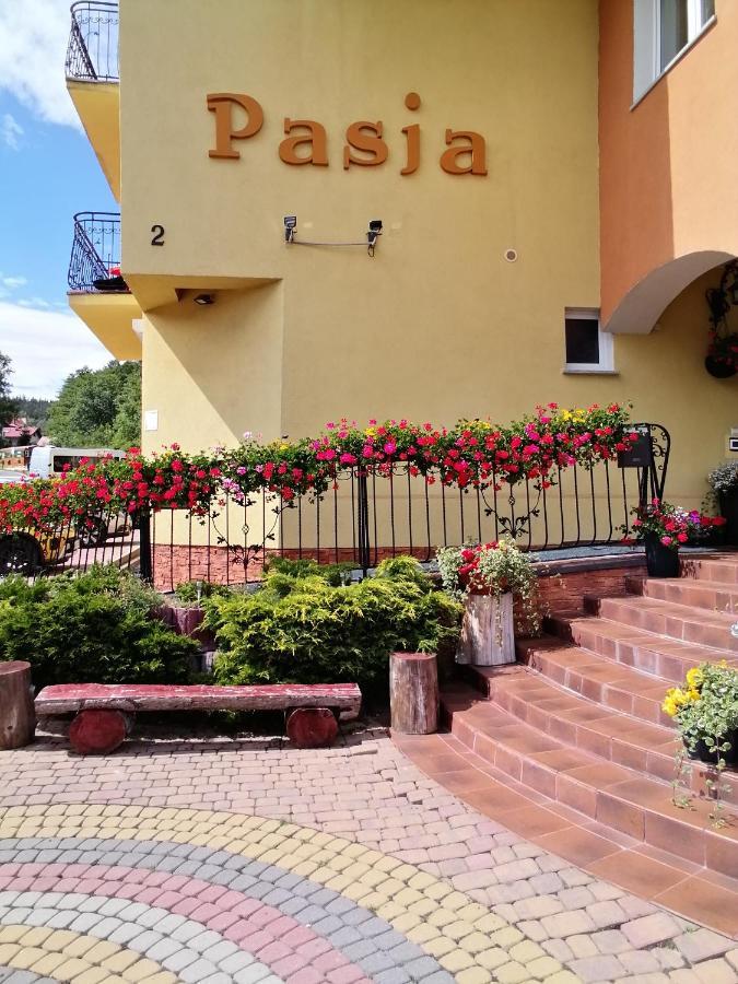 Bed and Breakfast Pasja Сверадув-Здруй Экстерьер фото